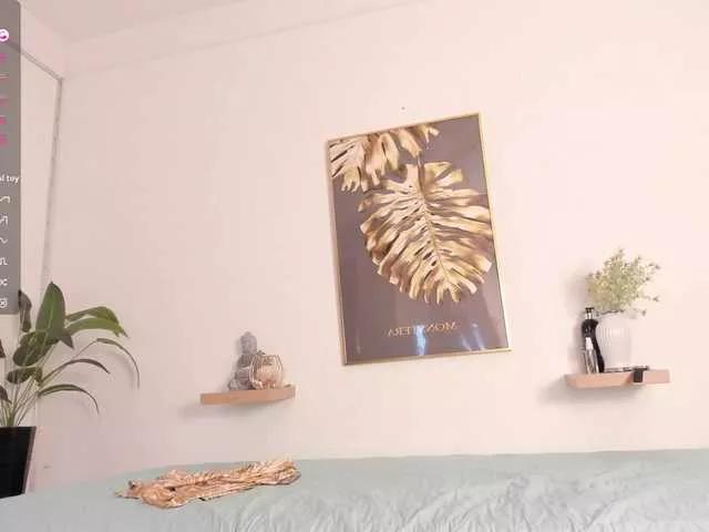 Try Amina-hafssa, she wants to masturbate for you amina-hafssa from BongaCams