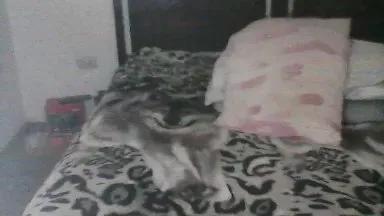 Try LaGuilleMiaw, zie wants to masturbate for you LaGuilleMiaw from Cam4