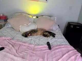 Offline ahinoaa on CamSoda