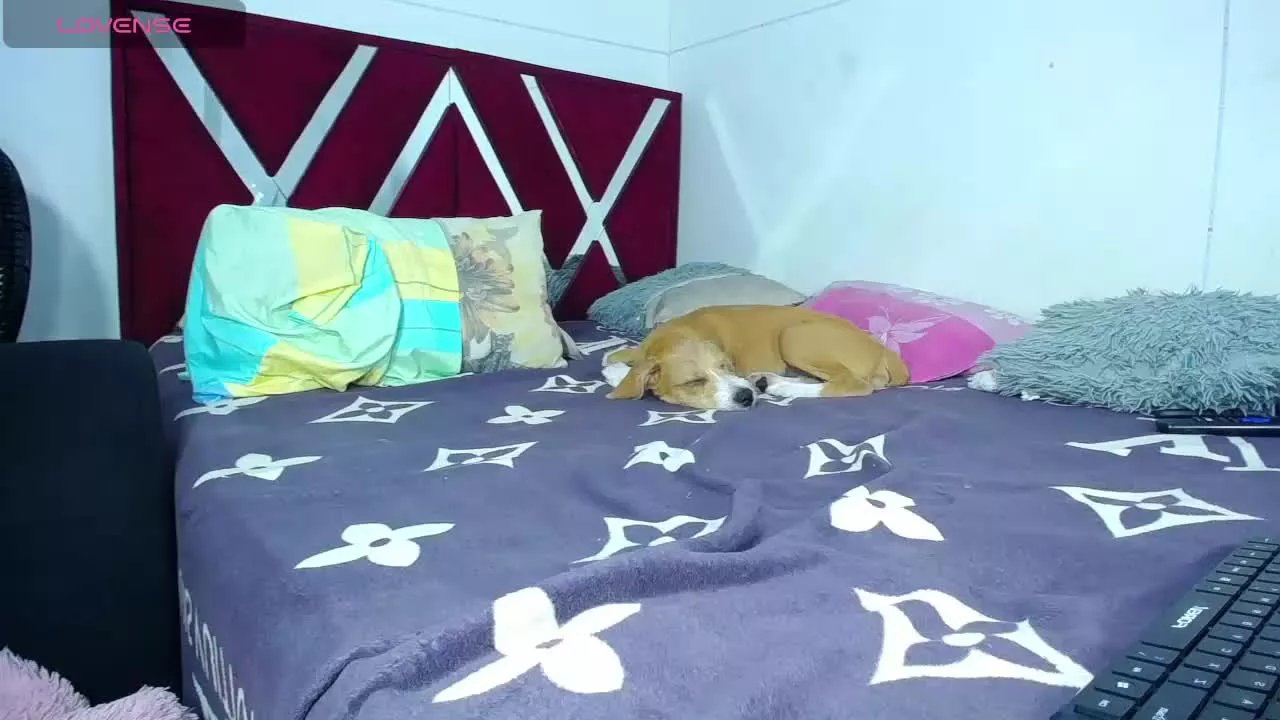 Offline ShantallBrown on Streamray