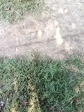 Explore Mehta_seema, she wants to masturbate for you Mehta_seema from StripChat